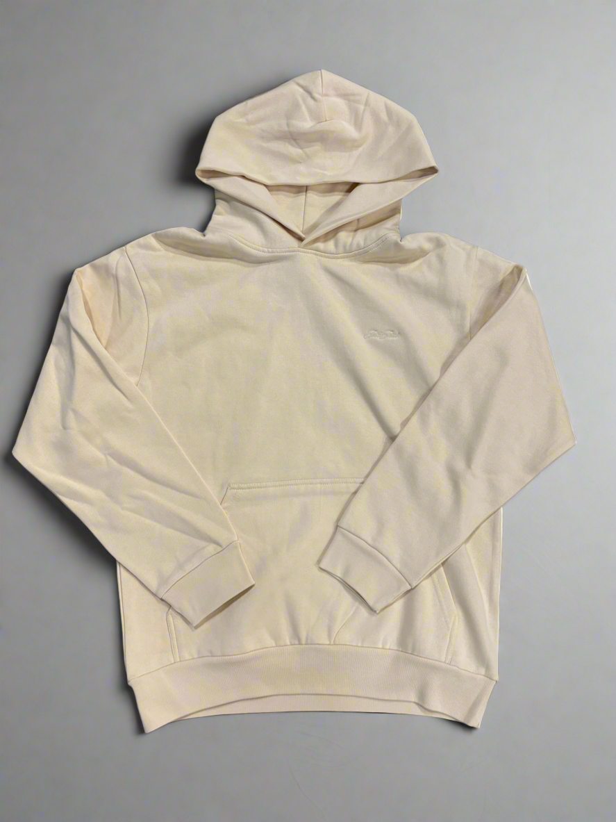 Just Jesus Hoodie