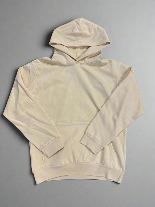 Just Jesus Hoodie
